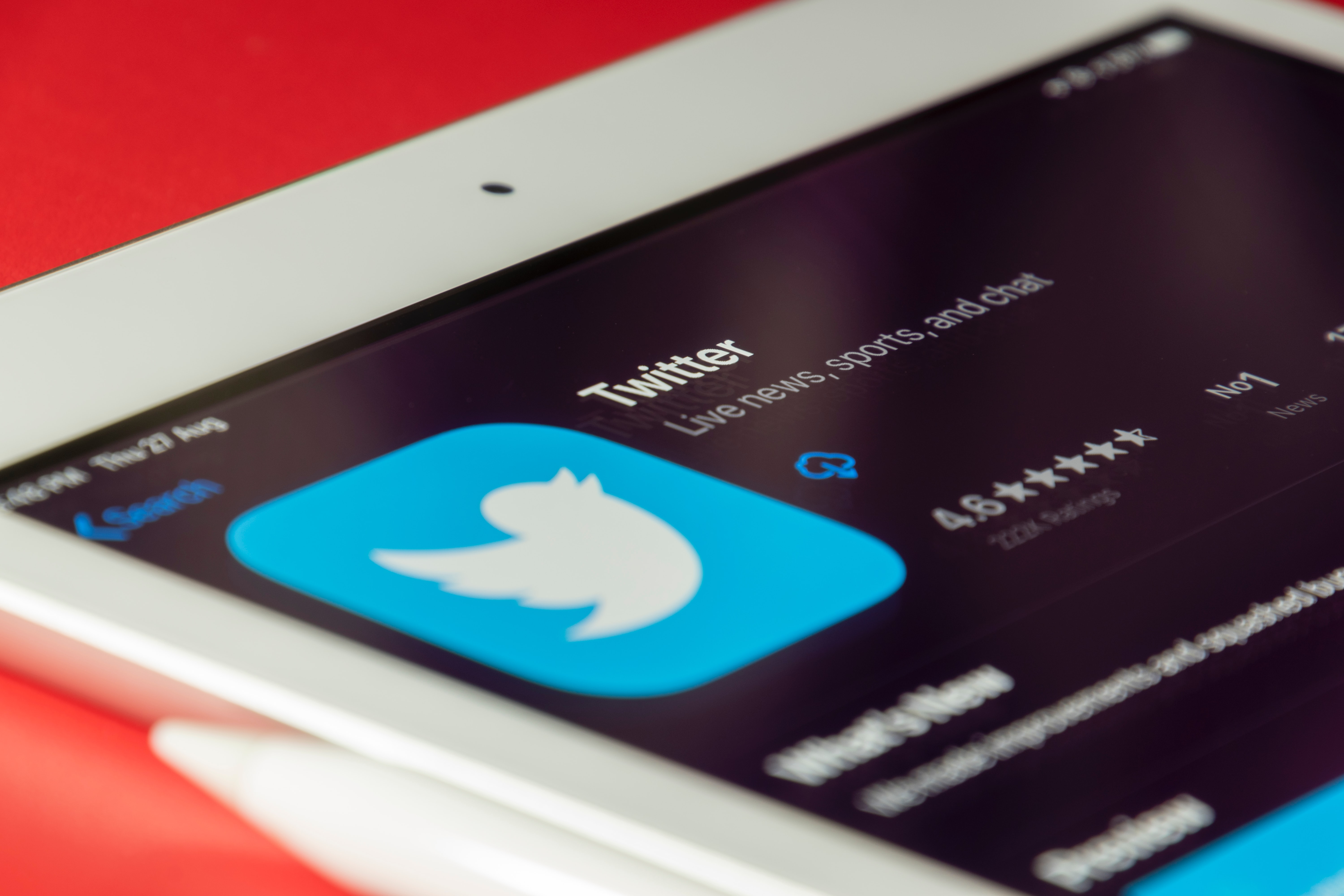 Newsmax: Musk’s Free Speech Fight May Hit Entrenched Resistance at Twitter